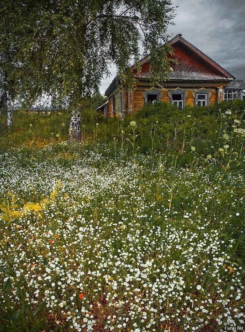 Солянка