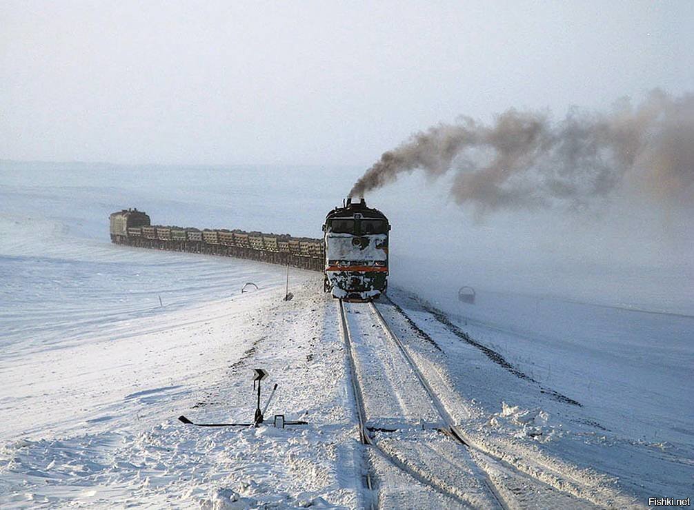 Солянка