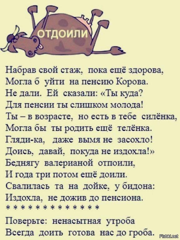 Никакой политики и намёков на пенсионную реформу в РФ