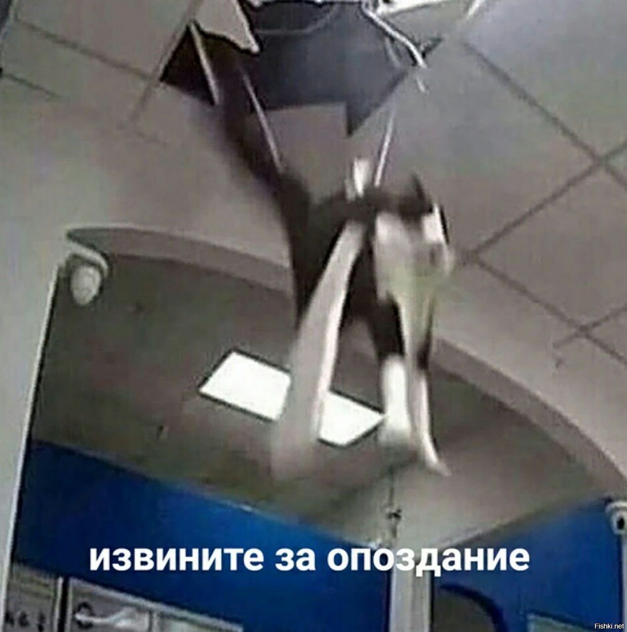 Доброе утро