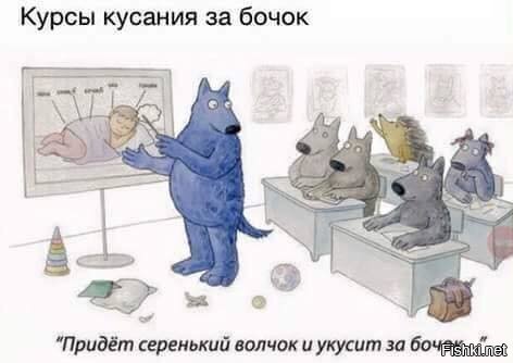 а что ёжик там забыл