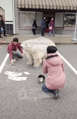 Солянка