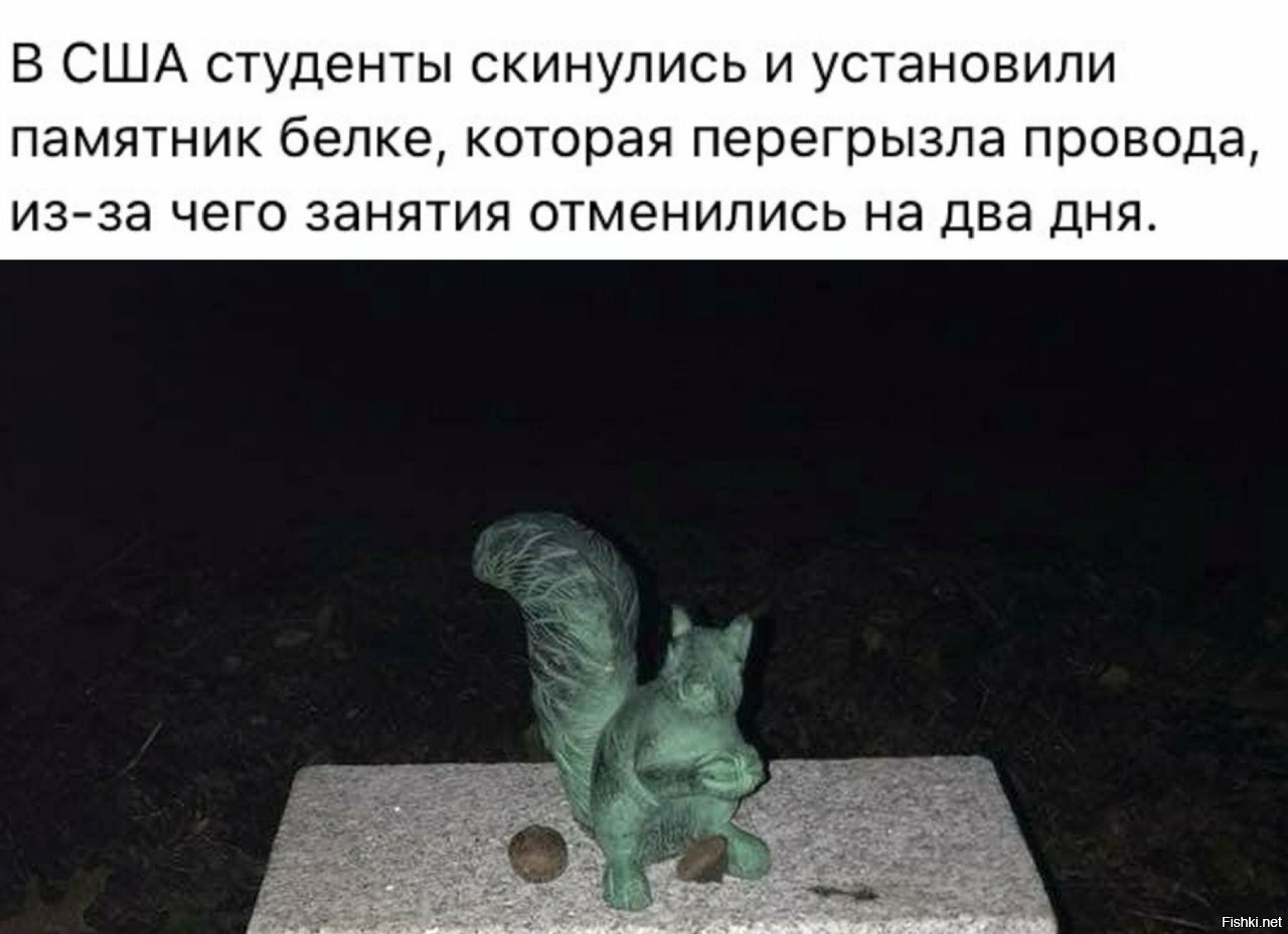 У нас бы электрик дядя Вася за небольшую мзду