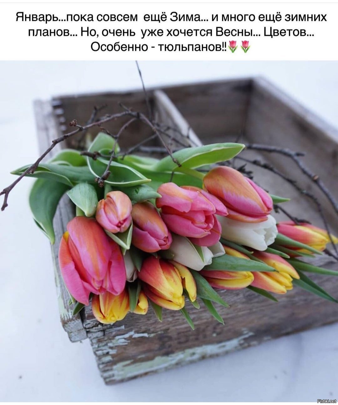 С Татьяниным днем 