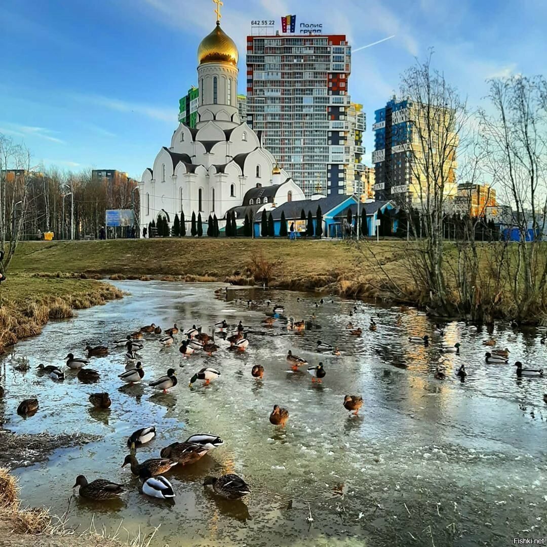 Вот такая зима
