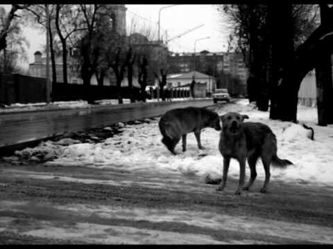 Завтра - так далеко, что кто его знает