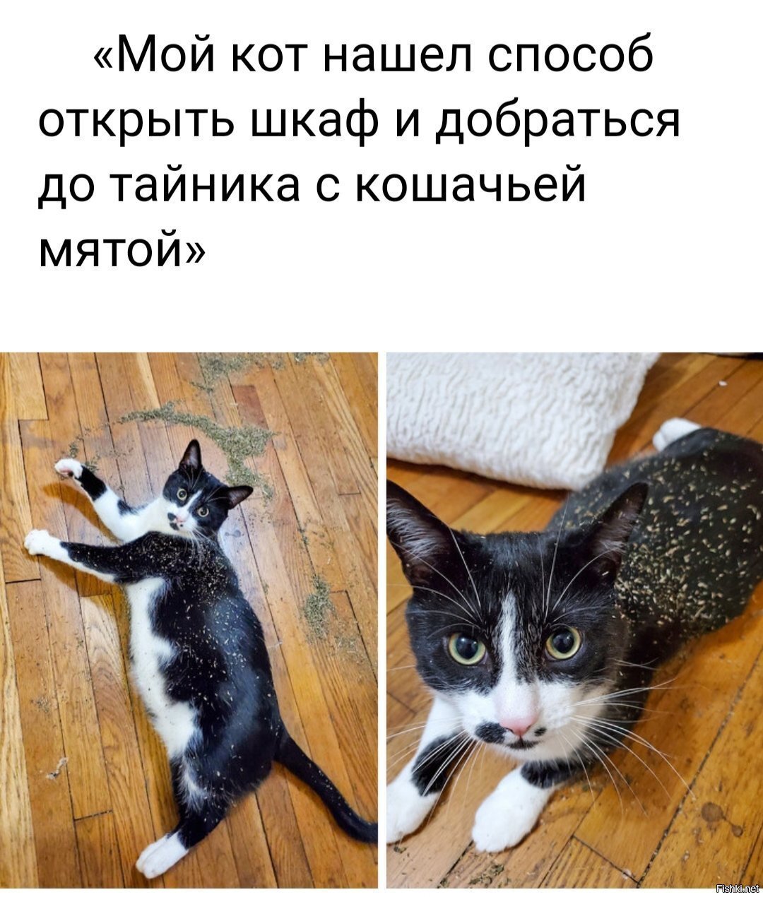Солянка
