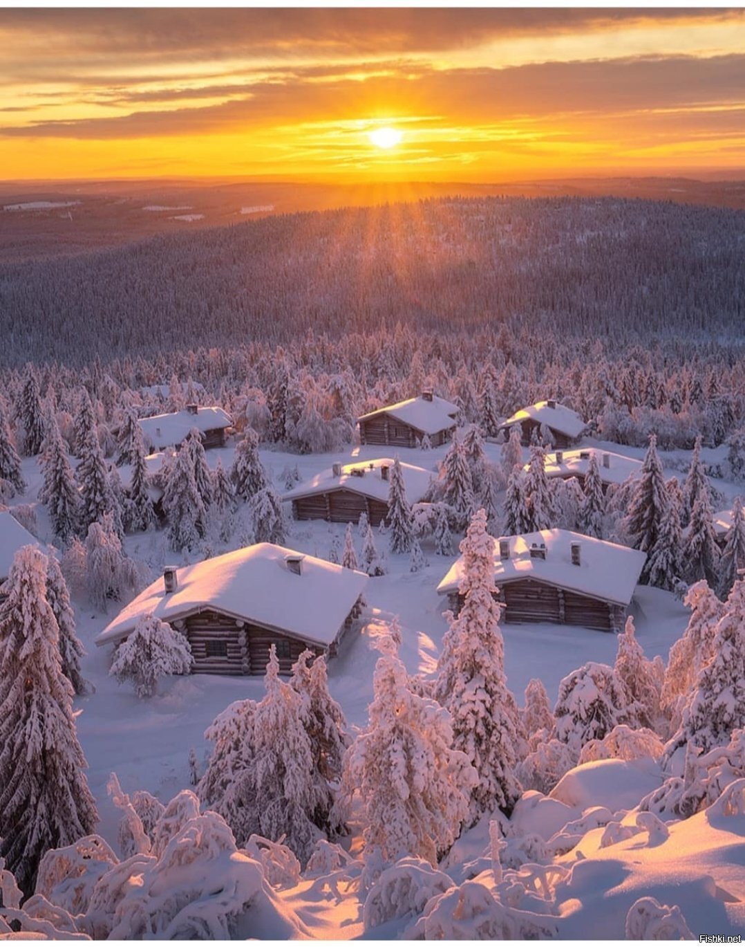 Солянка