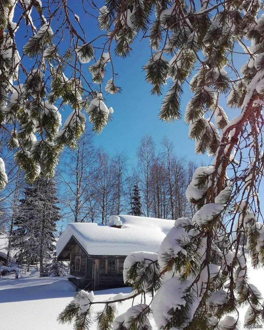 Солянка
