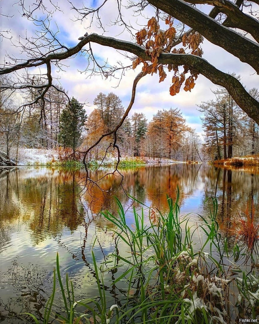 Солянка