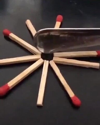 WTF
