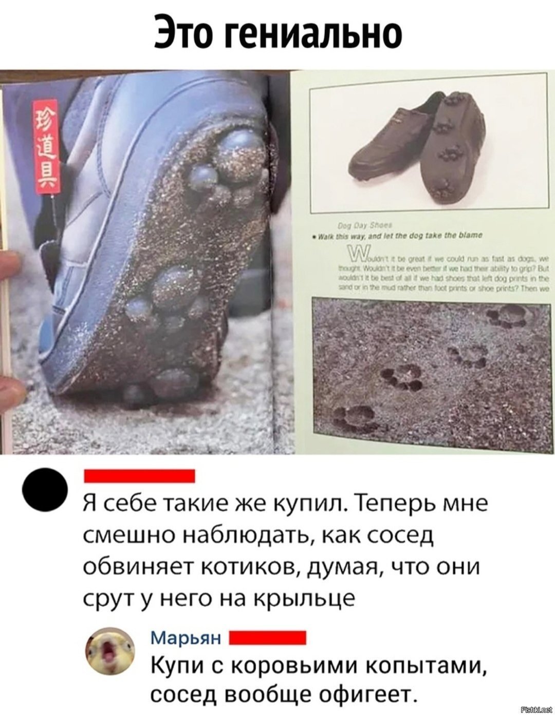 Солянка