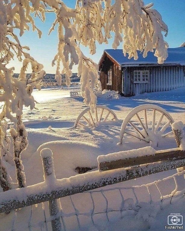 Солянка