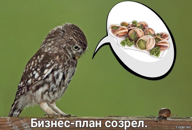 Посмотрел на заглавную картинку и