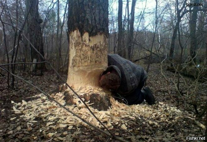 ты никто когда голоден