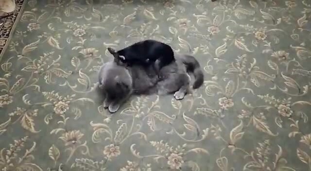 Кое-кто, кой -кого у нас порой
