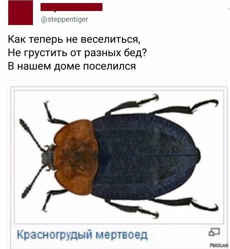 На на ночь глядя