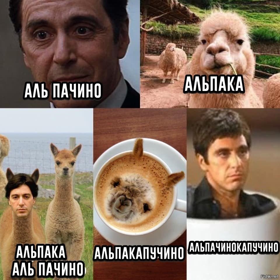 Солянка