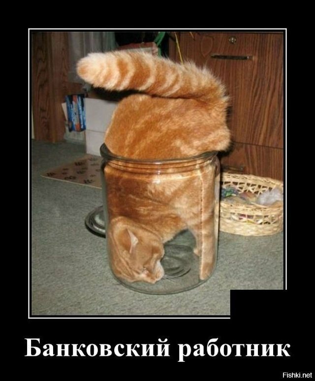 Рыжик