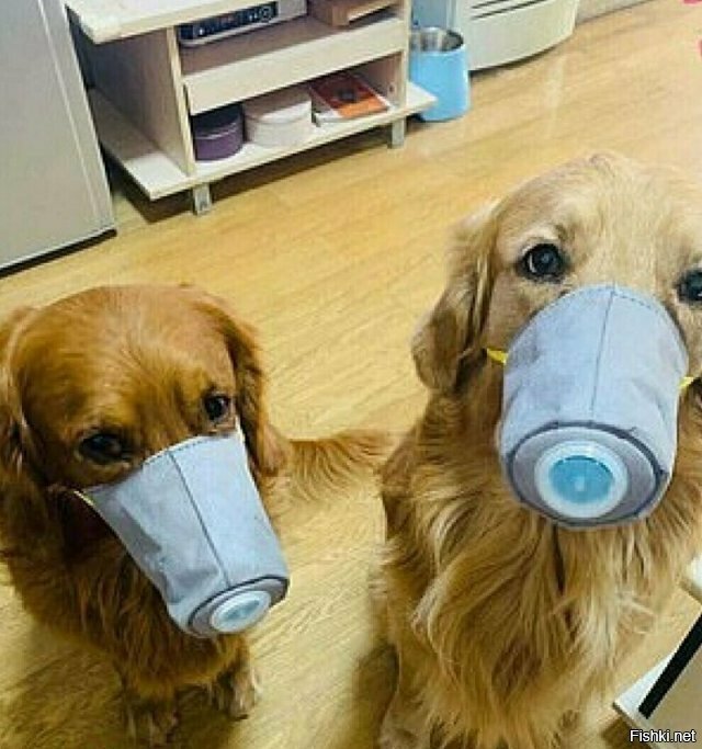Китай сегодня