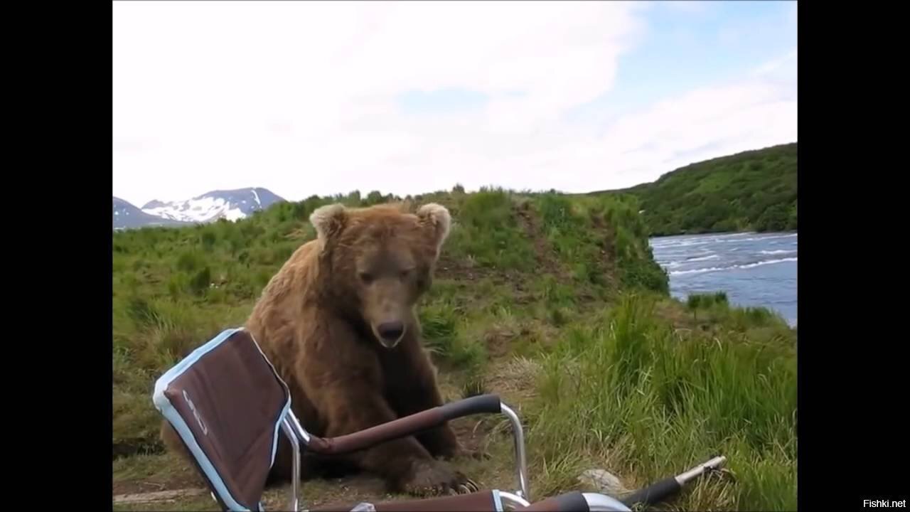 Ну что ты спрятался за стул, я ж не обижу