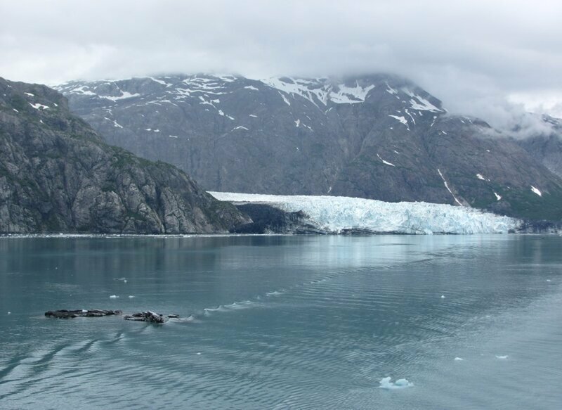 Аляска. Национальный парк Glacier Bay