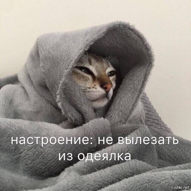 И почему на работу не разрешают брать одеялко