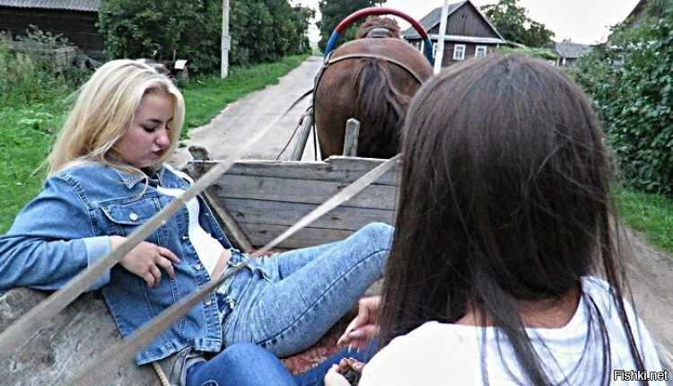 Едем мы, гламурные на бричке