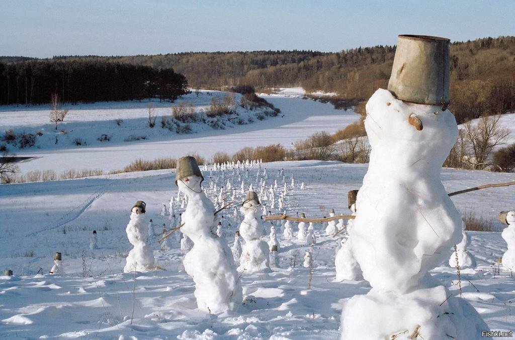 Солянка