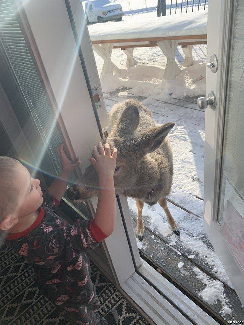 Солянка