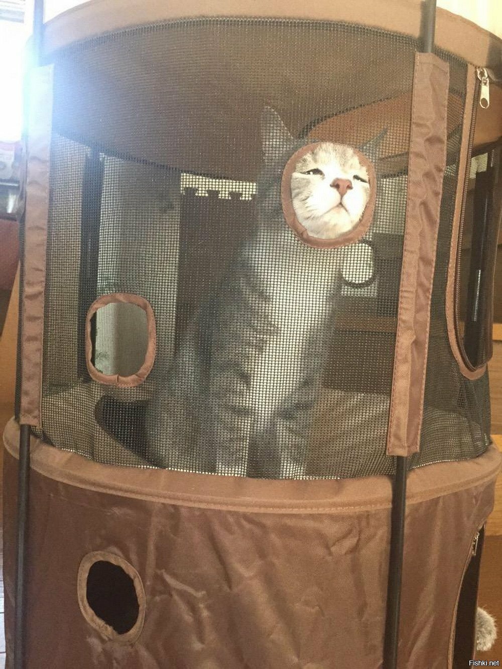 Солянка