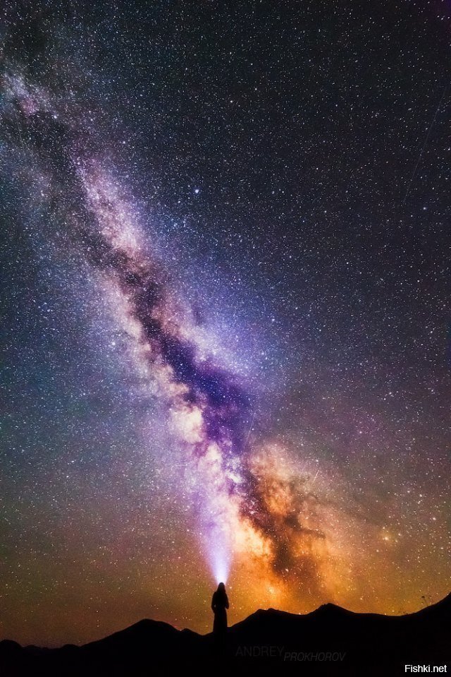 фото с сайта National Geographic