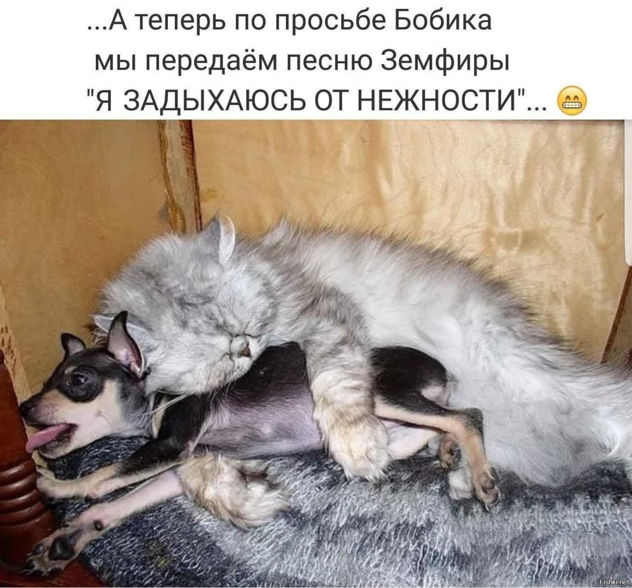 Солянка