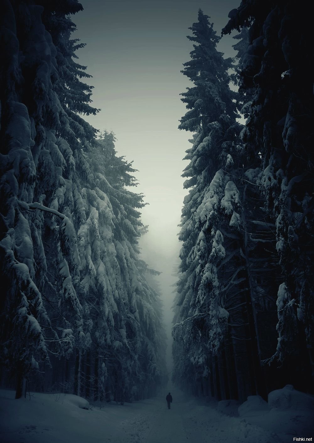 Солянка