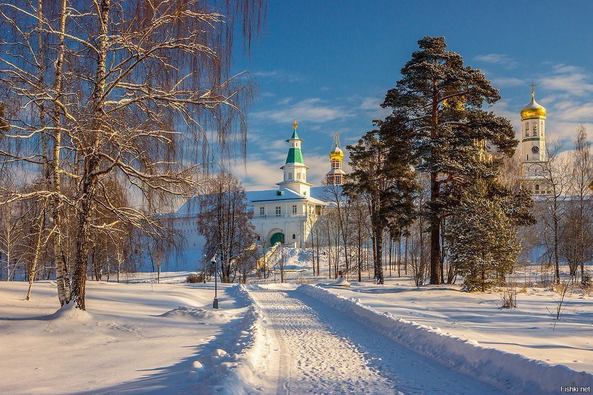 Солянка