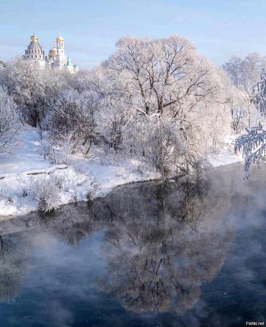Солянка
