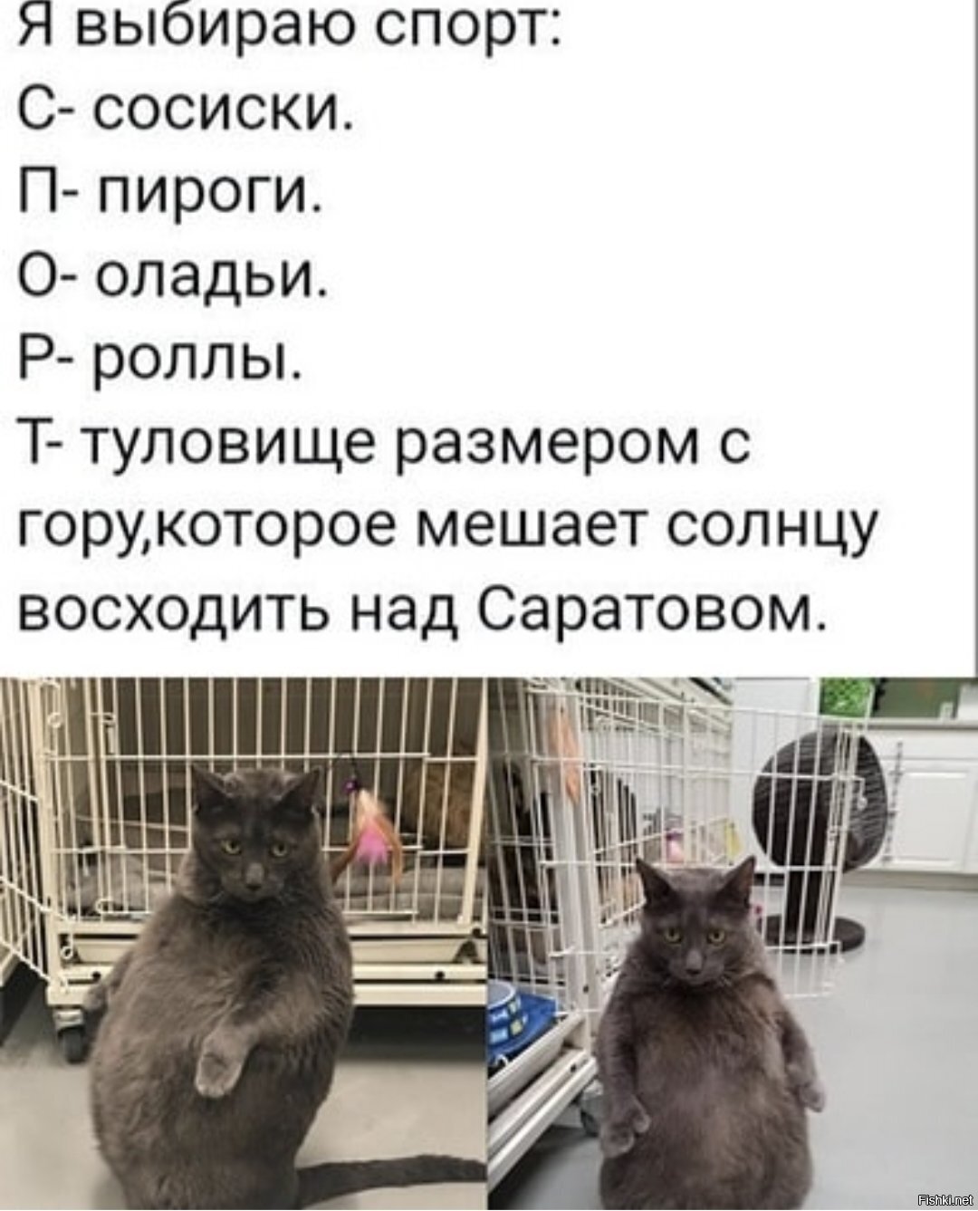 Солянка