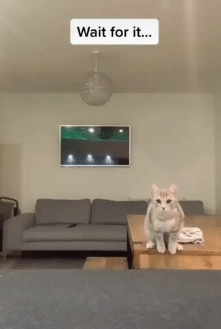 - Не проскочил