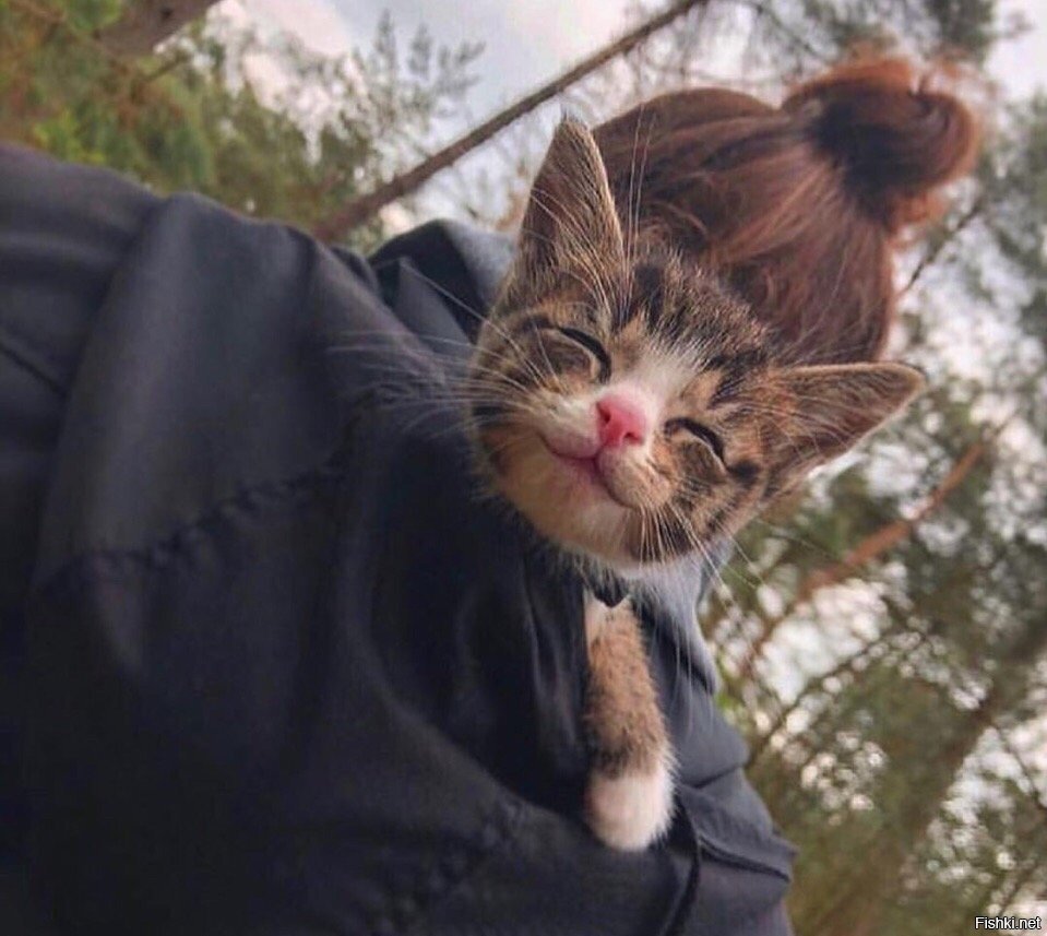 - Бе, бе, бе, а я иду в поход