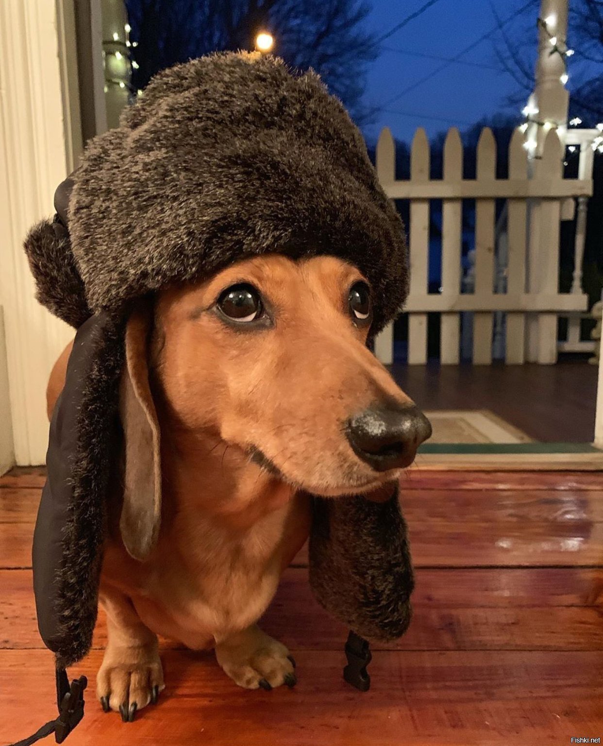 Солянка
