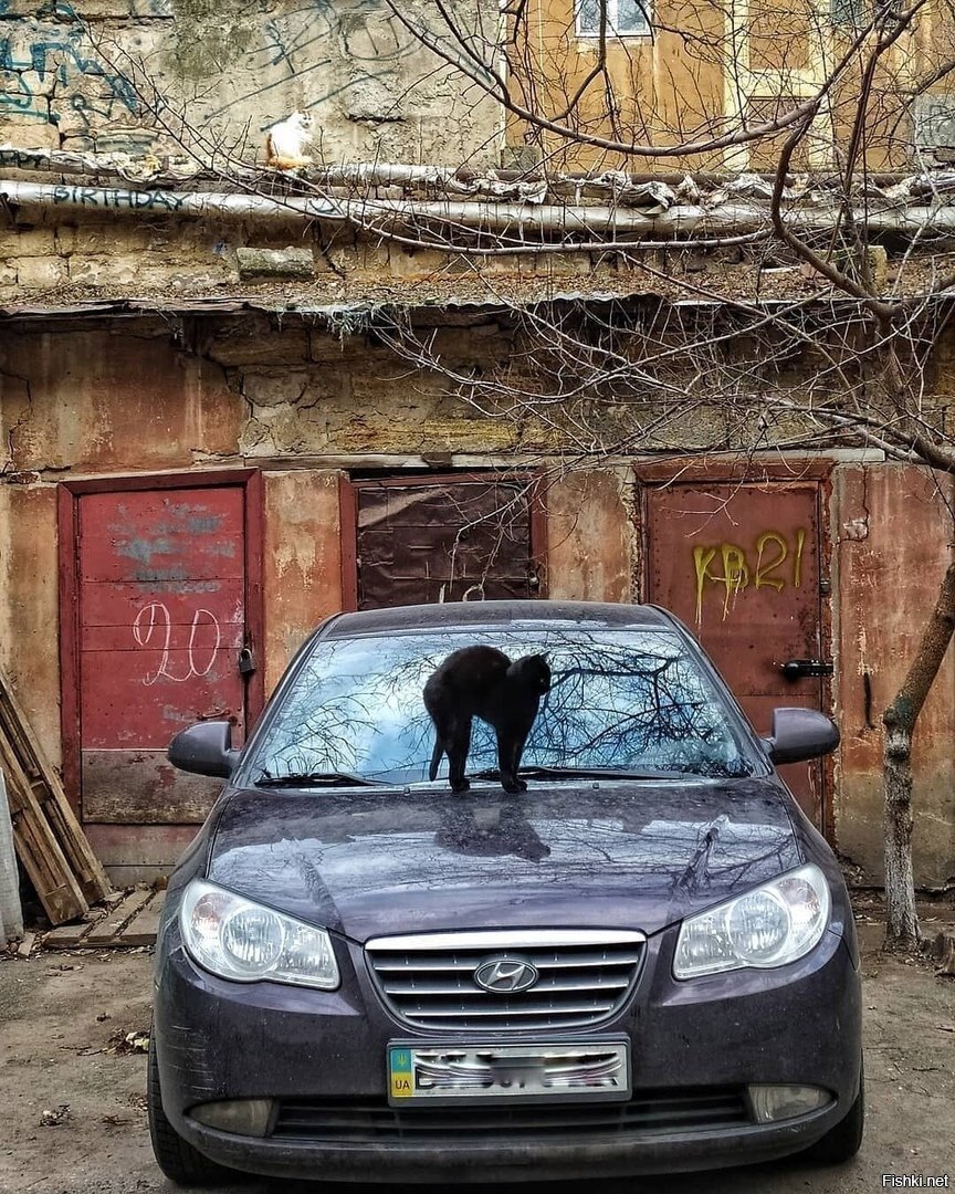 Солянка