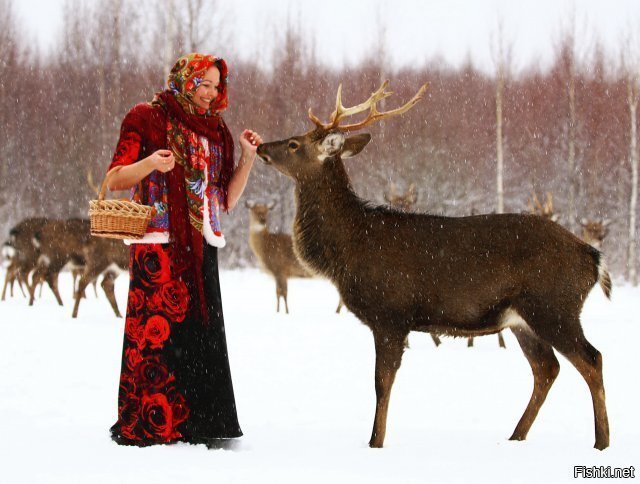 Солянка