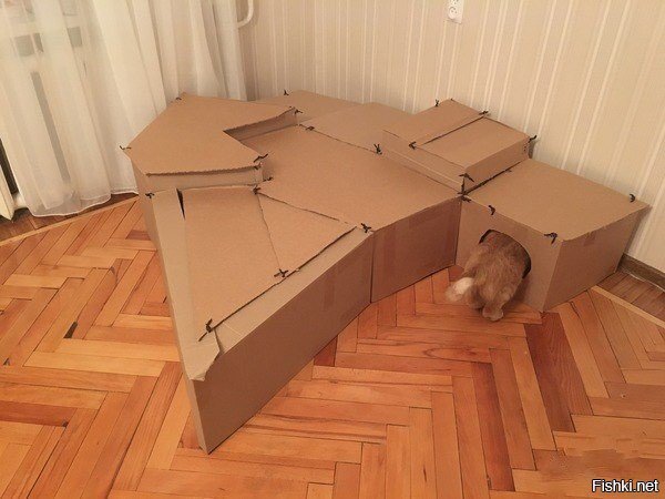 Мечта сбылась