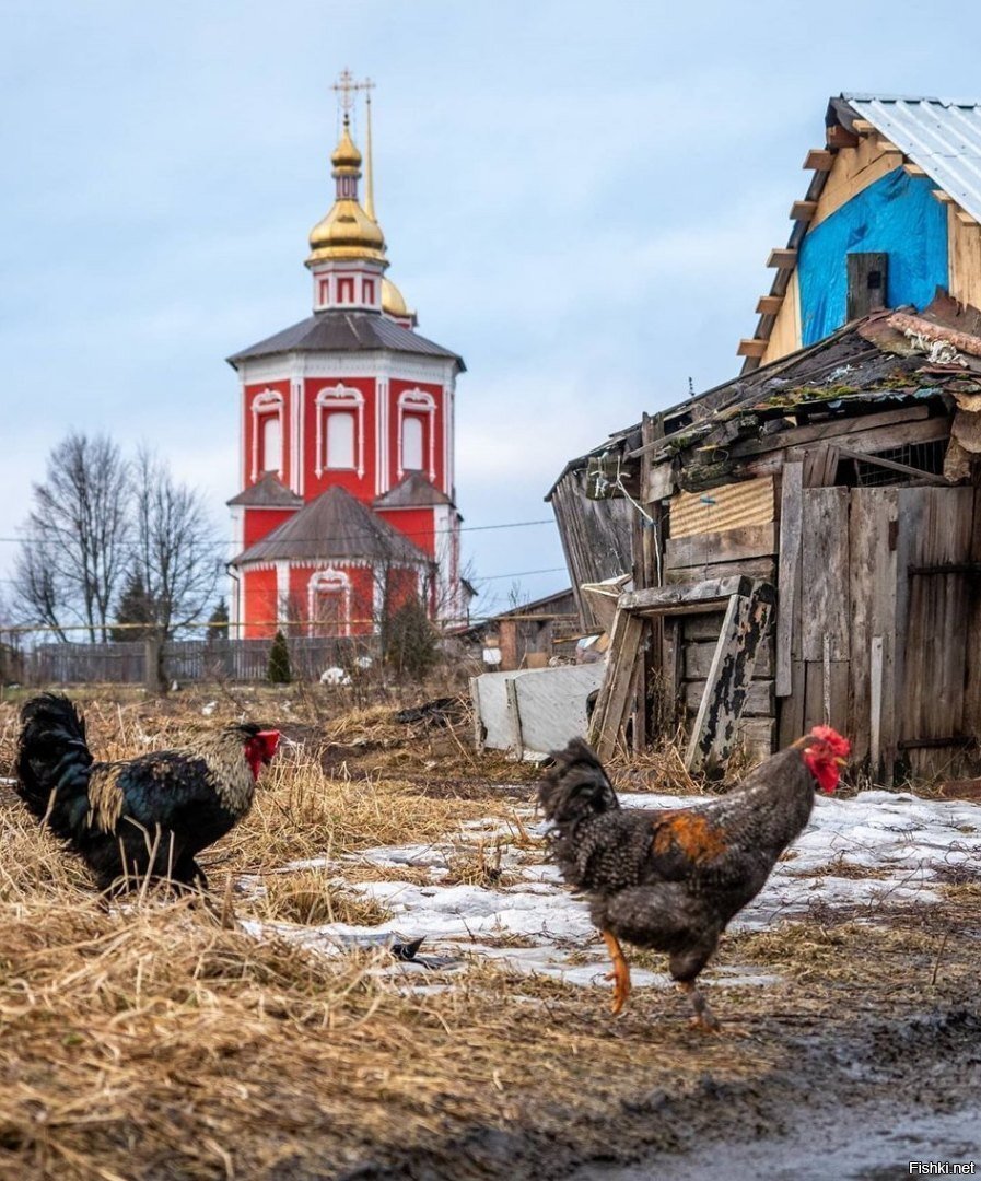 Солянка