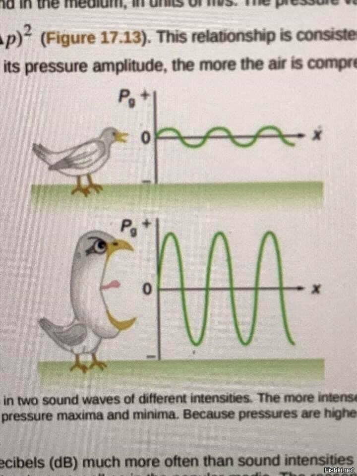 Вот как надо иллюстрировать учебник физики