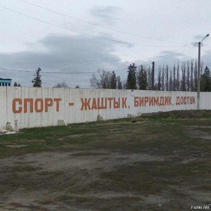 Солянка