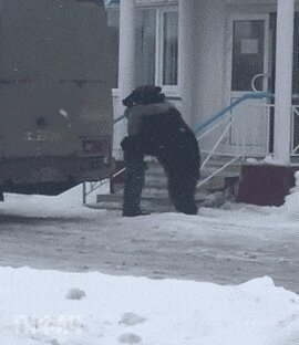 Ничего необычного, просто встретились старые друзья