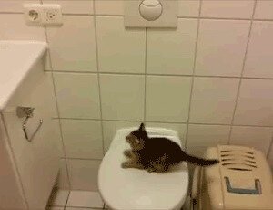 Первые шаги