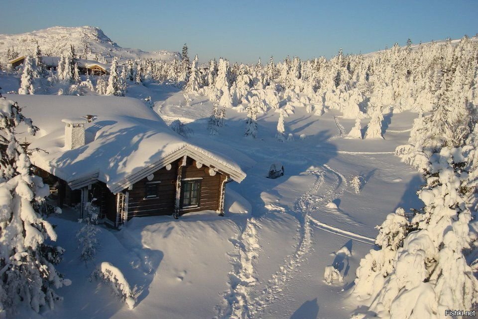 Солянка