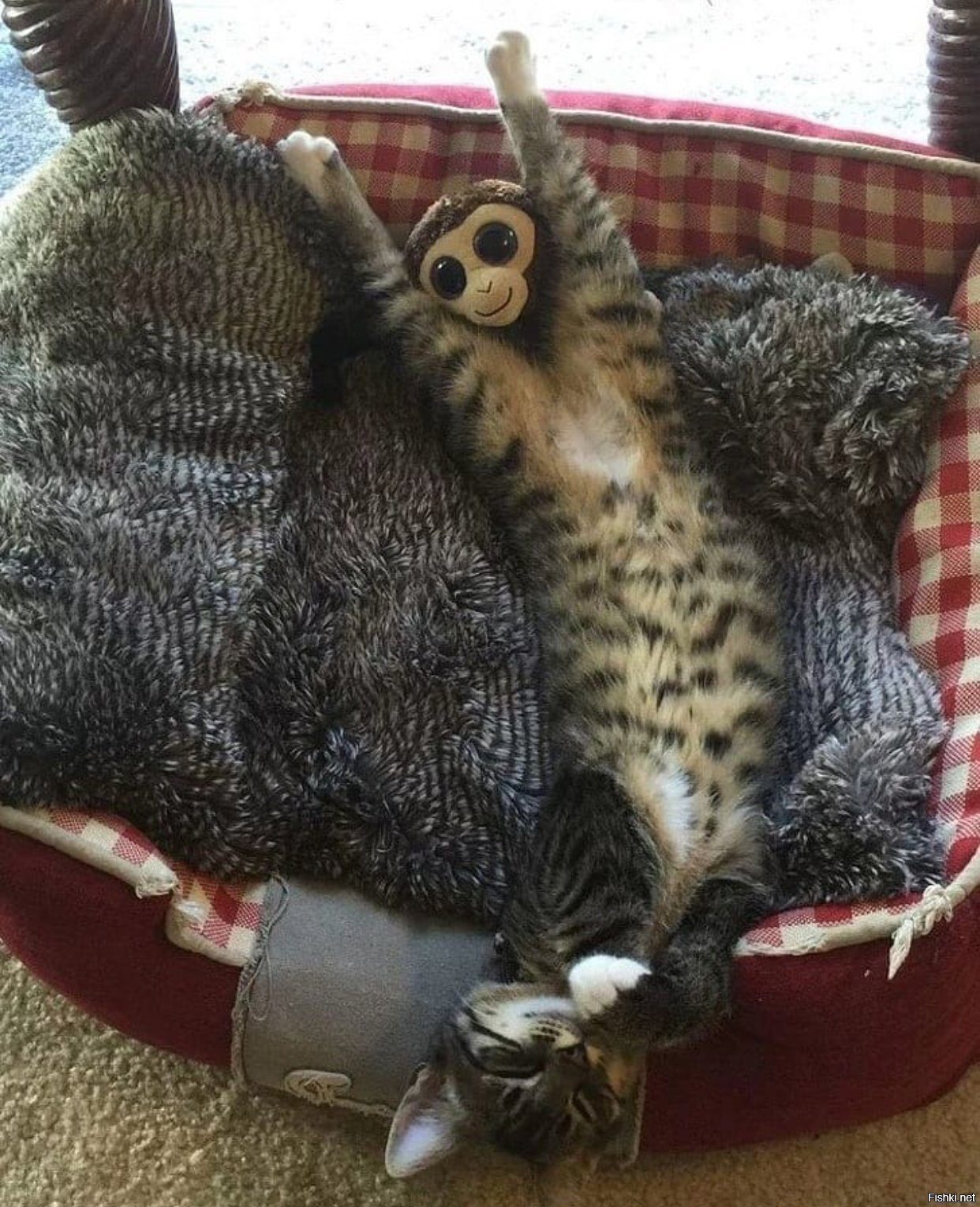 Солянка